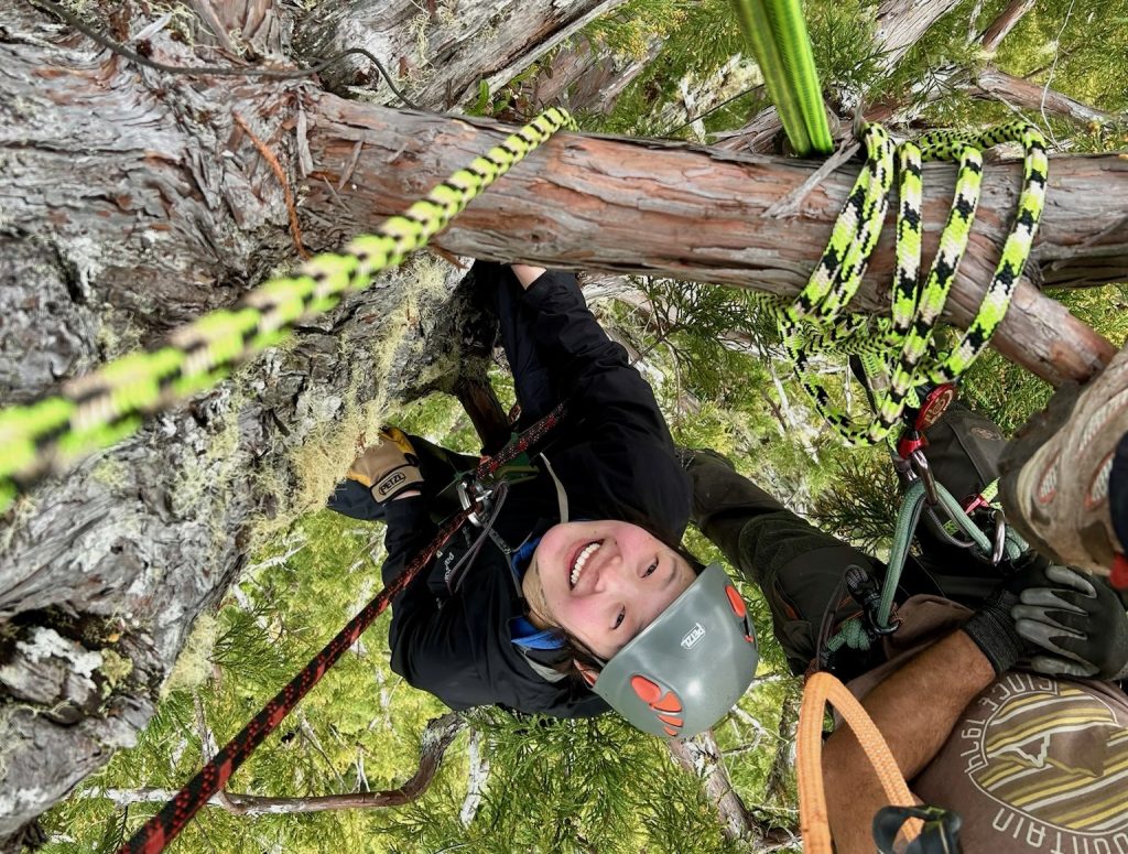 Profile photo of a young woman hanging on the side of a tall tree. The photos is an aerial view, with the woman looking upwards so you can see down along the length of the tree. The woman is smiling and wearing a hard hat, being held up by several ropes. Someone is hanging behind her, also secured to a tree branch with ropes.
